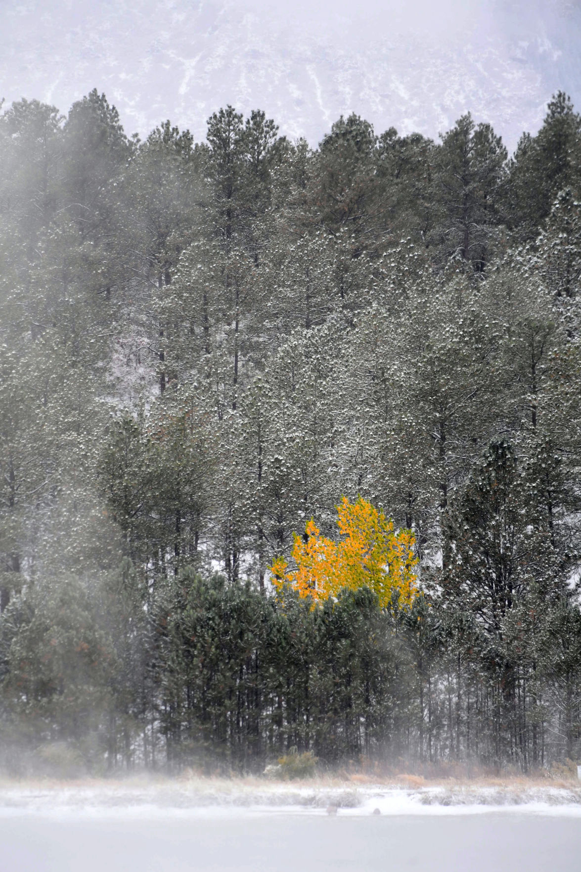 101119-news-weather 228 .jpg